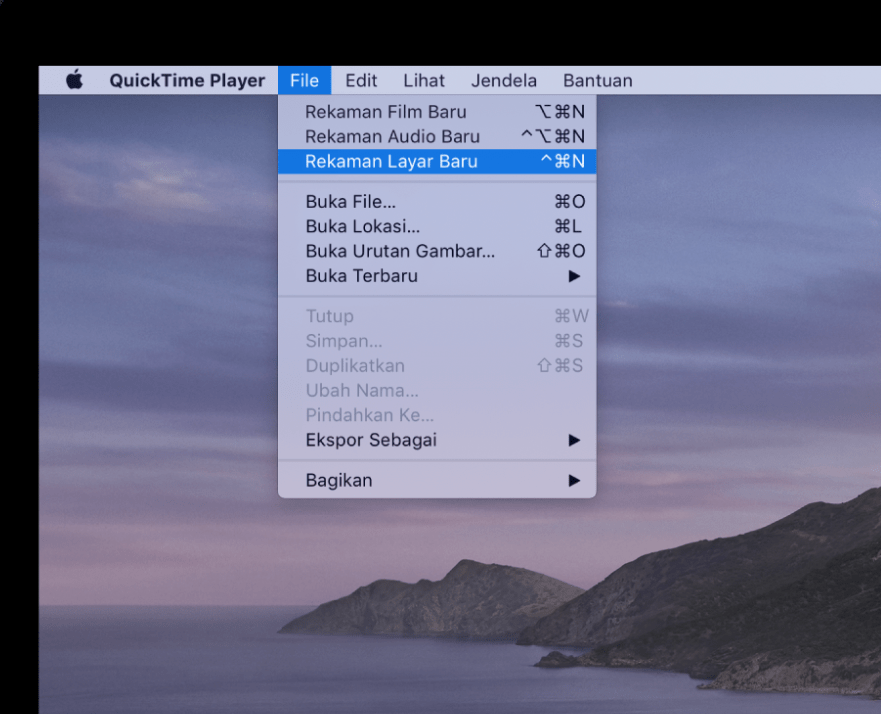 quicktime 10 for mac download